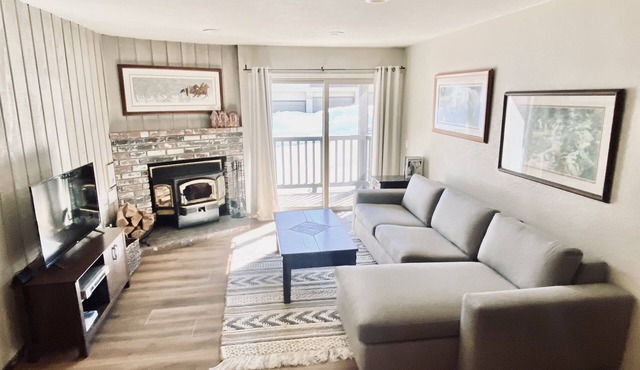 Remodeled Nov ‘22 Cozy Mammoth Condo - Walking Distance to Canyon Lodge