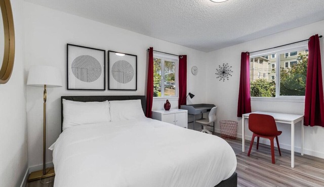 Remodeled Studio in Heart of DT Tacoma - 3