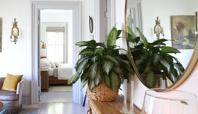 Remodeled1800s Victorian in heart of Ithaca- Close to parks and downtown