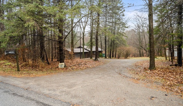 Remote cabin in the woods