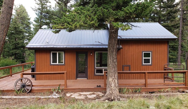 Remote cabin on 40 acres with wildlife and no distractions.