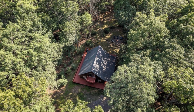 Remote Cabin Surrounded by Wilderness