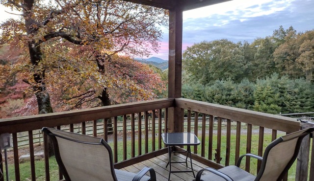 Remote cabin with gorgeous view and sunsets, pets free, fast Wi-Fi!