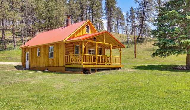 Remote Custer Cabin w/Fire Pit & Near State Park!