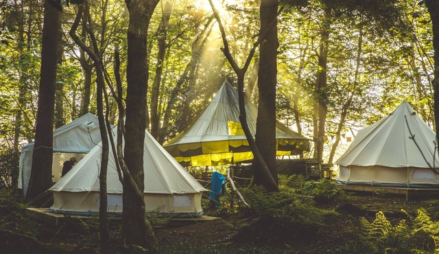 Remote Glamping for Groups | 15 mins from Newquay