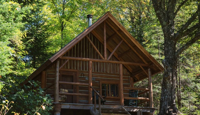 Remote Lake Cabin, Boats Included, Shared Bath & Sauna