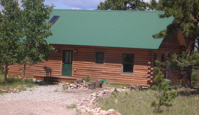 Remote Log Cabin Artist Retreat - comfort, serenity - spectacular views!