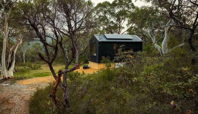 Remote Off-Grid Cabin Hidden in the Bush - Fern