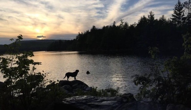 Remote off-grid cabin on pond 4WD/AWD required