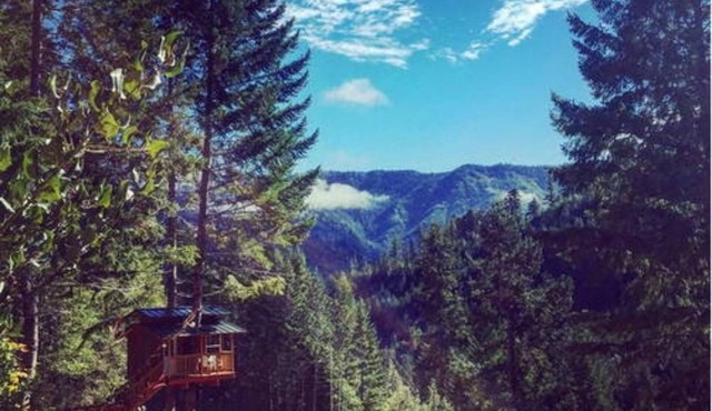 Remote Off-Grid-Rustic Tree House @ Sustainable Eco-Village