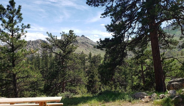 Remote peaceful cabin, great wildlife viewing, hunting and fishing close by