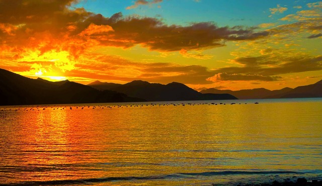 Remote Pelorus Sound Kiwi Bach on the Beach with Great Views