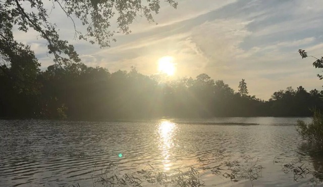 Remote property with a pond view