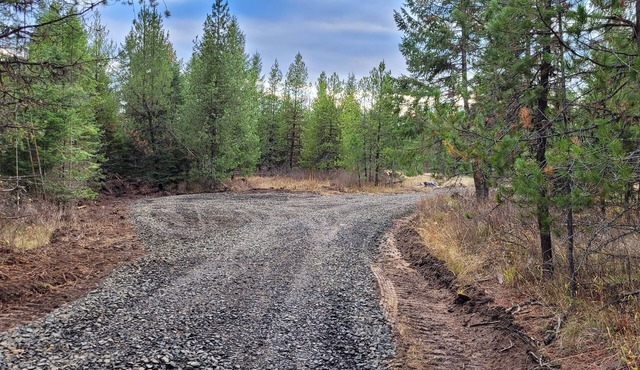 Remote RV site w/o hookups. Perfect for campers under 30 feet. Site C.