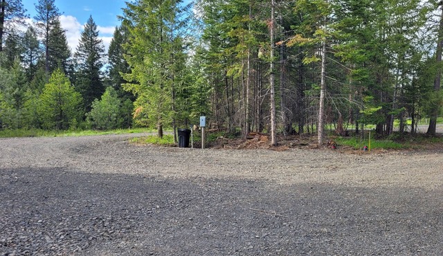 Remote RV site with full hookups on 16 wooded acres. Site B.