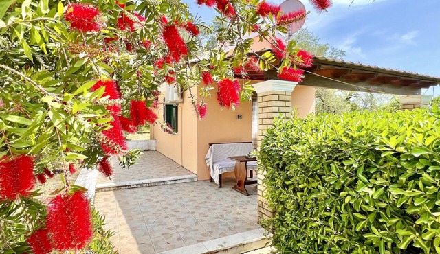 Renas Studio near Roda