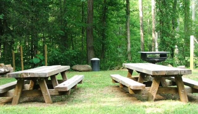 Renew & Relax in Tranquil & Comfortable Log Cabin