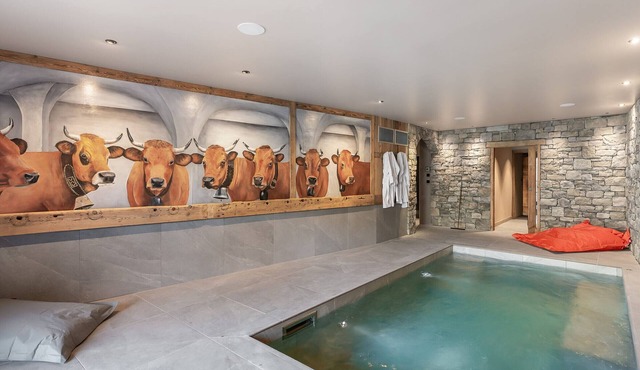 Renovated chalet with pool, sauna and hammam for 14 people in Saint-Martin-de-Belleville