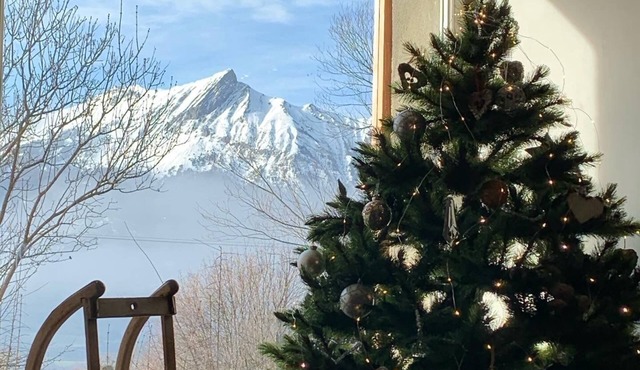 Renovated farmhouse, mountain view, close to ski resorts, brazier, garden, quiet area