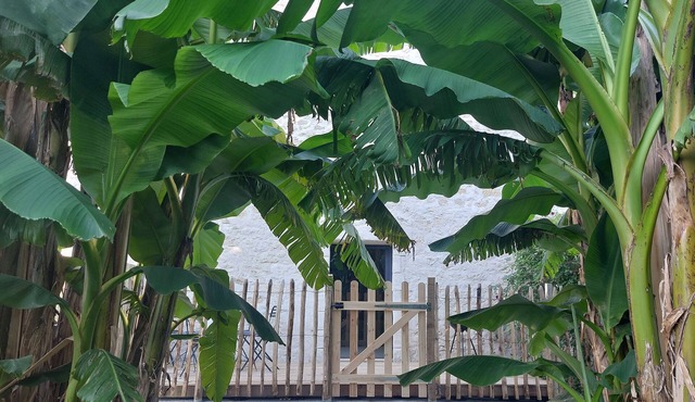 Renovated former cowshed surrounded by nature. Pets welcome!