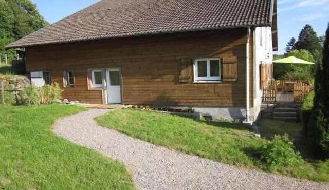 Renovated mountain lodge with wood stove - Saulxures-sur-Moselotte