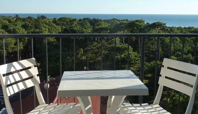 Renovated 1BR with balcony, covered parking, pets allowed