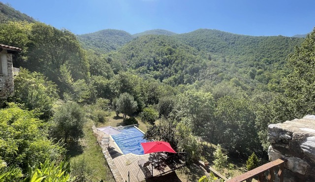 Renovated 15S farmhouse with swimming pool 10mx5m in full nature calm unique frame guaranteed