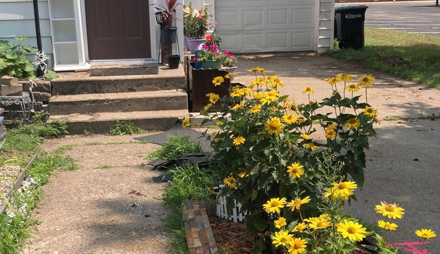 Renovated 1888 Gem in Original Little Falls - Clean, Comfy, WiFi, Pets Welcome