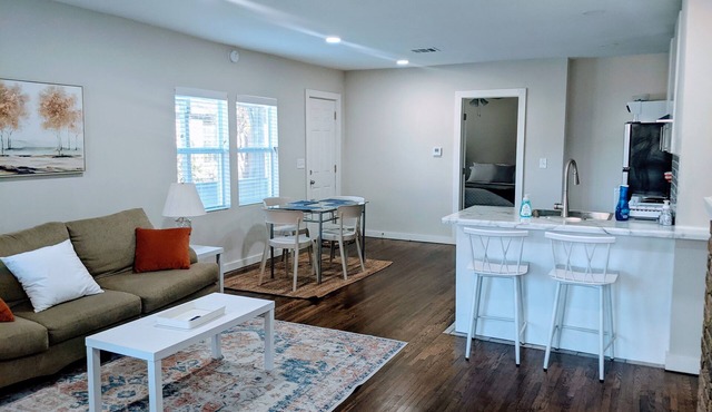 Renovated 1BR Downtown/BOK