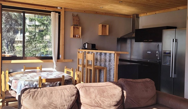 Renovated 3-bedroom apartment in Pra Loup, near shuttle