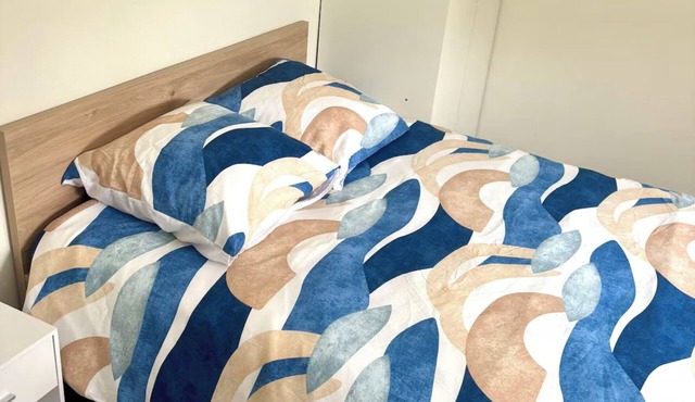 Renovated 3-bedroom apartment near UTT