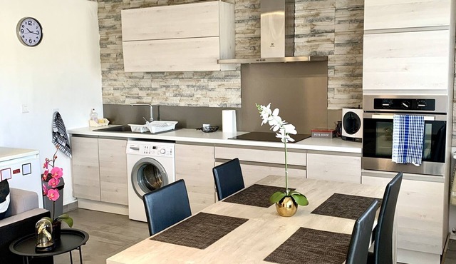 RENOVATED 50M2 APARTMENT ORLEANS TOWN CENTER