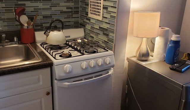Renovated and Sunny Chelsea/Hudson Yards studio has Washer/Dryer, Free WiFi