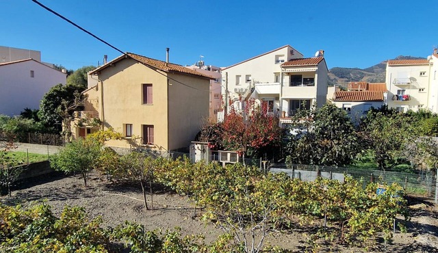 Renovated apartment in Banyuls-sur-Mer with terrace