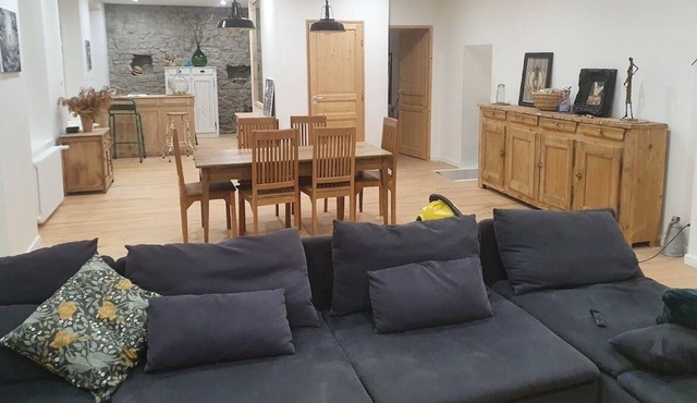 Renovated apartment in the heart of Saint Etienne