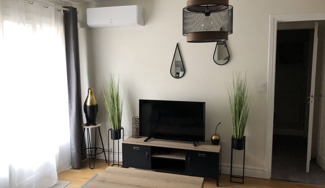 Renovated apartment close to all amenities