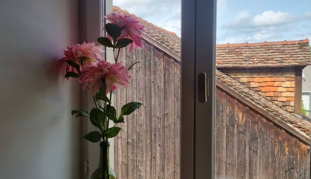 Renovated apartment Genlis center