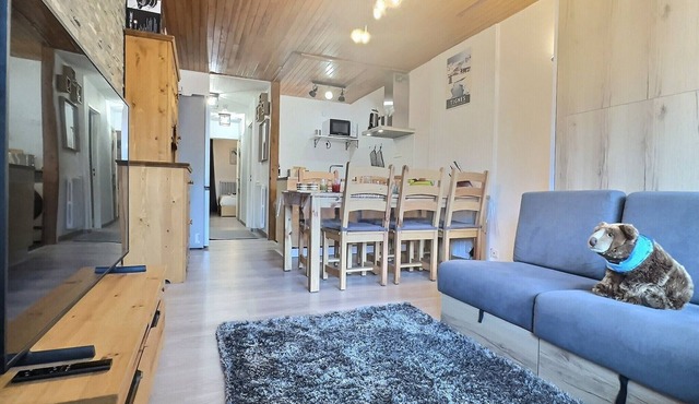 Renovated apartment Tignes 2100