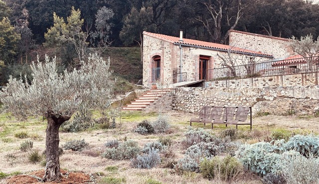 Renovated barn, quiet gîte- Céret