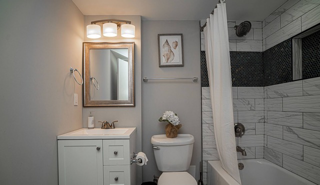 Renovated Basement space, Close to D.C ,with SWIMMING POOL