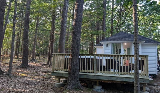 Renovated Cabin WITH HOT TUB Tucked in Pines Cabin 9