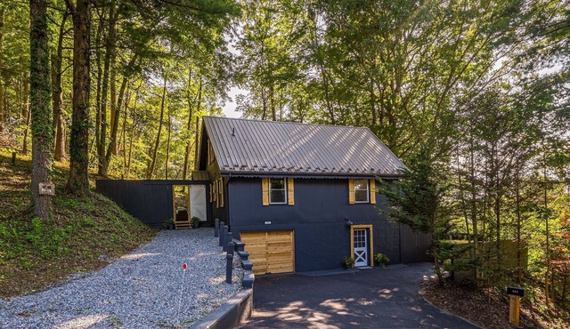Renovated chalet just a walk down the hill to downtown Burnsville! Pet Friendly