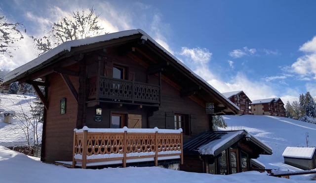 Renovated Chalet with Mont Charvin View and WiFi