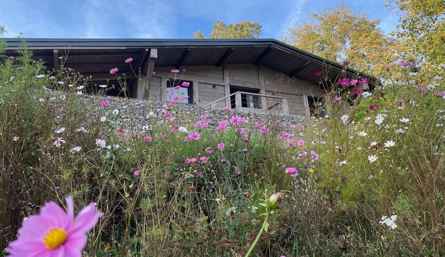 Renovated chalet with sauna, near Gérardmer