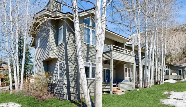 Renovated condo with deck, mountain view, fireplace & gorgeous kitchen
