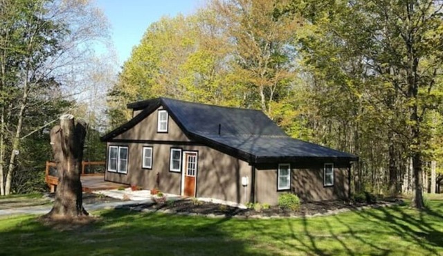 Renovated COZY CABIN with HOT TUB and Smores Bar!