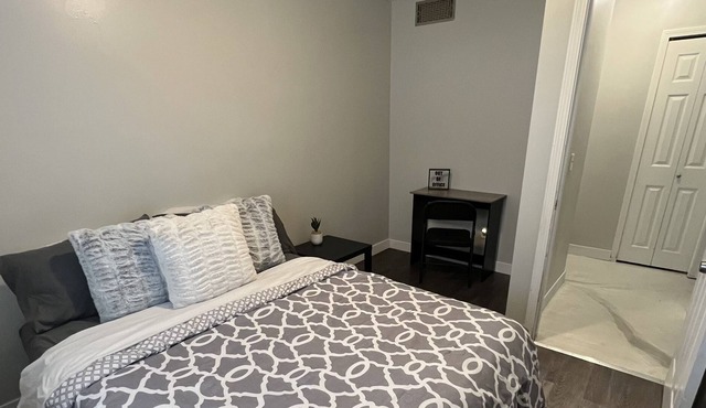 Renovated Cozy home! 15 mins to Sparrow & MSU! Washer/dryer. Pet friendly.