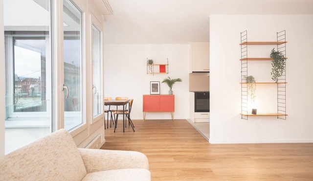 Renovated Designer Studio in Central Basel with free BaselCard