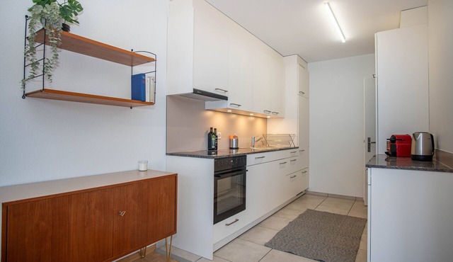 Renovated Designer Studio in Central Basel with free BaselCard