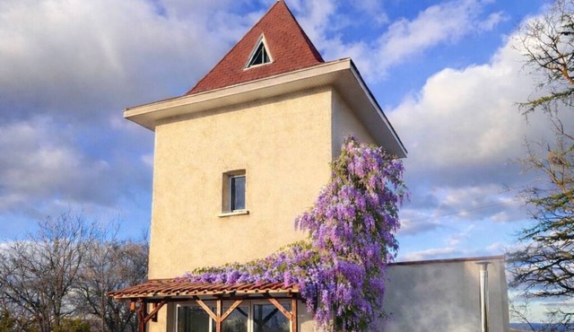 🌿 Renovated dovecote with SPA & Pyrenees view - Pets welcome